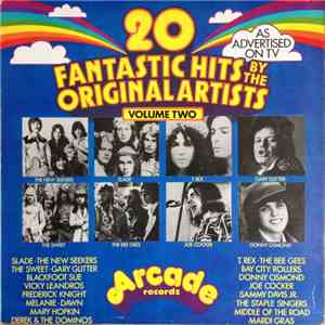 Various - 20 Fantastic Hits By The Original Artists Volume Two