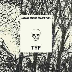 Analogic Captive - TYF