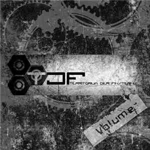 Various - Territorium Der Finsternis - Volume 1