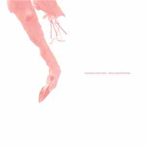 Pinkcourtesyphone - Elegant & Detached