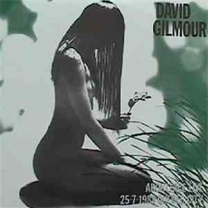 David Gilmour - About Face Live