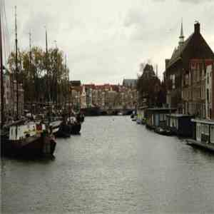 Turbo Polyp - Leiden Pitoresque