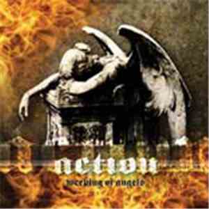 Action  - Weeping of Angels