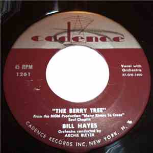 Bill Hayes - The Berry Tree / Blue Black Hair