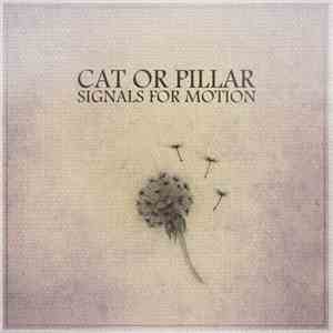Cat or Pillar - Signals For Motion