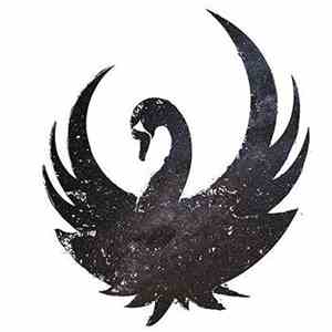 A★I - Le Chant Du Cygne Noir