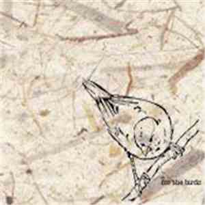 Kat Burns - For The Birds