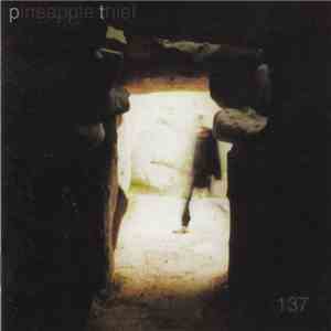 The Pineapple Thief - 137