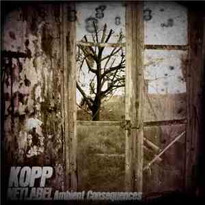 Various - Ambient Consequences