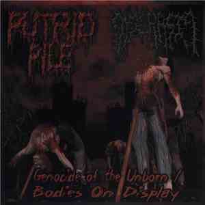 Putrid Pile / Dyscrasia - Genocide Of The Unborn / Bodies On Display