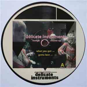 Delicate Instruments - Badge Of Shame EP