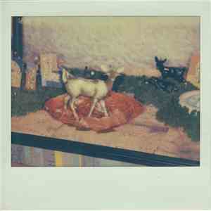 Speedy Ortiz - Foiled Again EP