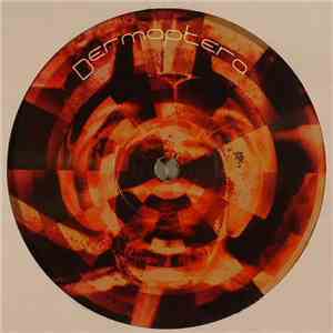 Dermaptera - Dermaptera 5