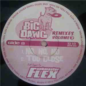 Funkmaster Flex - Big Dawg Remixes Volume 2