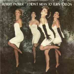 Robert Palmer - I Didn't Mean To Turn You On