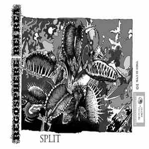 Regosphere / Rei Rea - Split