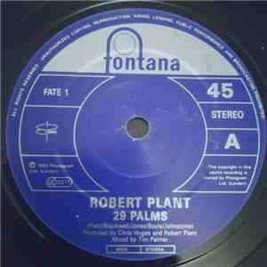 Robert Plant - 29 Palms