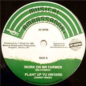 Edi Fitzroy / Johnny Ringo / Latty Guzang / The Roots Radics - Work On Mr F ...