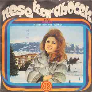 Neşe Karaböcek - Intizar / Karli Bir Kis Günü