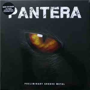 Pantera - Preliminary Groove Metal