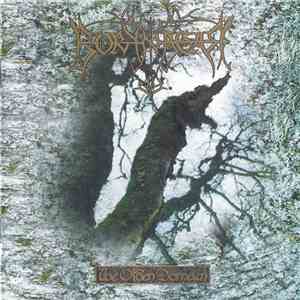 Borknagar - The Olden Domain