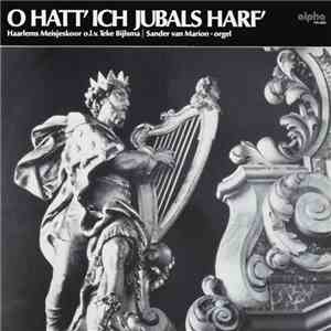 Haarlems Meisjeskoor - O Hatt' Ich Jubals Harf'