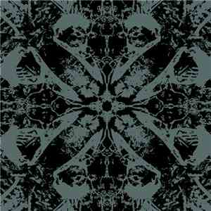 Insidious Process - Mirrors Of The Dead