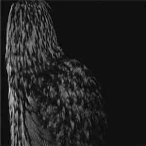 Kevin Drumm - Indifferent Bystander