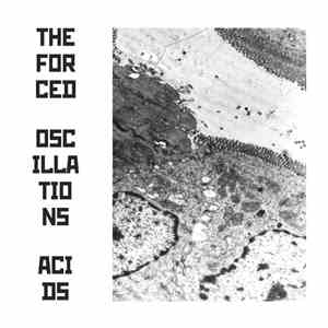 The Forced Oscillations - Acids