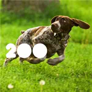 Various - 2OO