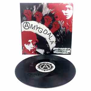 Amygdala  - Population Control