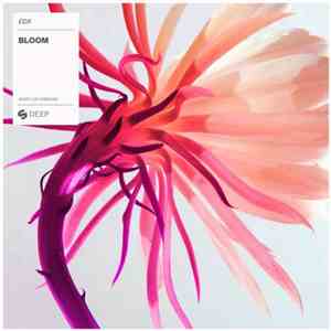 EDX - Bloom