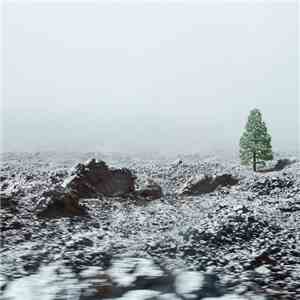 Nearr - Pale Youth