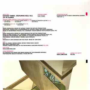 Satoshi Tomiie Featuring Kelli Ali - Up In Flames