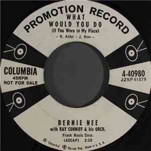 Bernie Nee - What Would You Do (If You Were In My Place)