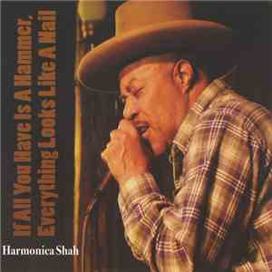 Harmonica Shah - If All You Have Is A Hammer, Everything Looks Like A Nail