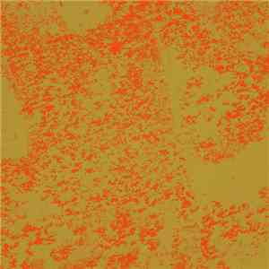 Keiji Haino - Experimental Mixture -In The World-