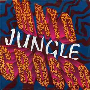 Mato Grosso - Jungle