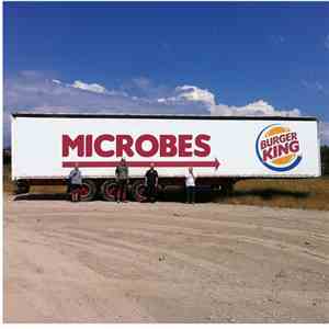 Microbes  - Microbes