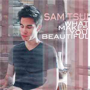Sam Tsui - What Makes You Beautiful