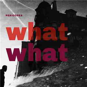 Pericopes, Alessandro Sgobbio, Emiliano Vernizzi - What What