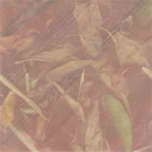 The Purple Paring Knife - Requiem For A Lamb's Ear