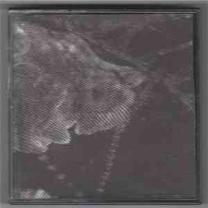 Bermuda Link - Night Pearls