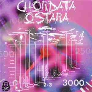 Chordata - Ostara