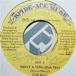 Nyne Roots - What A Ting (Dub Mix)