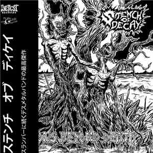 Stench Of Decay - Visions Beyond Death