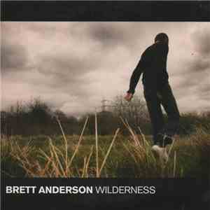 Brett Anderson - Wilderness