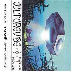 Culturevibe - 1996 House #01