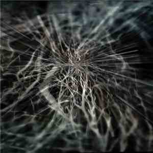 Invisible Path - Hallowed Ground