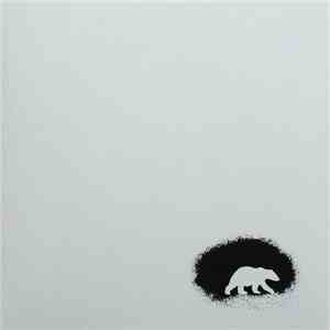 Polar Bear  - Black And White